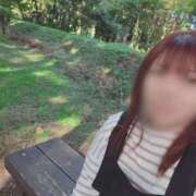 ヒメ日記 2025/11/21 10:04 投稿 あおき 山口下関ちゃんこ