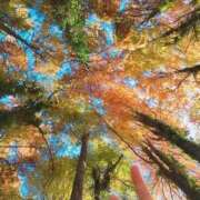 ヒメ日記 2025/11/22 22:28 投稿 あおき 山口下関ちゃんこ