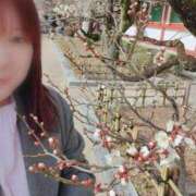 ヒメ日記 2026/02/13 23:01 投稿 あおき 山口下関ちゃんこ