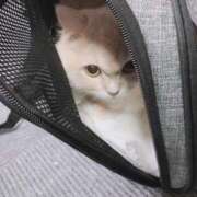 ヒメ日記 2024/12/15 17:28 投稿 ベリー Cawaiiハイ！スクールリターンズ