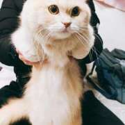 ヒメ日記 2025/01/04 17:13 投稿 ベリー Cawaiiハイ！スクールリターンズ