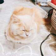 ヒメ日記 2025/01/25 17:19 投稿 ベリー Cawaiiハイ！スクールリターンズ