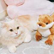 ヒメ日記 2025/03/02 17:30 投稿 ベリー Cawaiiハイ！スクールリターンズ