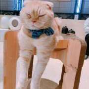 ヒメ日記 2025/04/05 20:10 投稿 ベリー Cawaiiハイ！スクールリターンズ