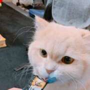 ヒメ日記 2025/06/13 17:32 投稿 ベリー Cawaiiハイ！スクールリターンズ