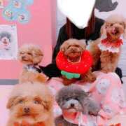 ヒメ日記 2025/06/14 16:19 投稿 ベリー Cawaiiハイ！スクールリターンズ