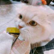 ヒメ日記 2025/06/20 17:19 投稿 ベリー Cawaiiハイ！スクールリターンズ