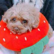 ヒメ日記 2025/07/02 17:40 投稿 ベリー Cawaiiハイ！スクールリターンズ