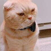 ヒメ日記 2025/07/13 17:19 投稿 ベリー Cawaiiハイ！スクールリターンズ