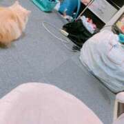 ヒメ日記 2025/07/18 18:20 投稿 ベリー Cawaiiハイ！スクールリターンズ