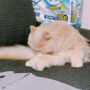 ヒメ日記 2025/07/30 17:24 投稿 ベリー Cawaiiハイ！スクールリターンズ