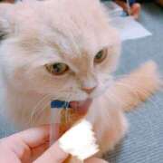 ヒメ日記 2025/08/10 18:03 投稿 ベリー Cawaiiハイ！スクールリターンズ