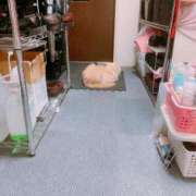 ヒメ日記 2025/08/30 17:09 投稿 ベリー Cawaiiハイ！スクールリターンズ