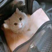 ヒメ日記 2025/09/06 18:18 投稿 ベリー Cawaiiハイ！スクールリターンズ