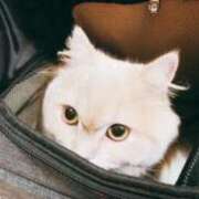 ヒメ日記 2025/10/25 18:24 投稿 ベリー Cawaiiハイ！スクールリターンズ