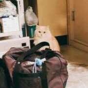 ベリー 出勤🐭 Cawaiiハイ！スクールリターンズ