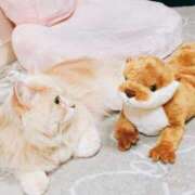 ベリー 出勤🐨 Cawaiiハイ！スクールリターンズ