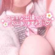 ヒメ日記 2024/12/28 15:23 投稿 秋月まな 厚木OL委員会