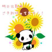 ヒメ日記 2025/08/01 23:33 投稿 秋月まな 厚木OL委員会