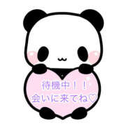 ヒメ日記 2025/09/13 15:23 投稿 秋月まな 厚木OL委員会