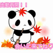 ヒメ日記 2025/10/25 00:23 投稿 秋月まな 厚木OL委員会