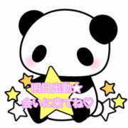 ヒメ日記 2025/11/14 01:23 投稿 秋月まな 厚木OL委員会