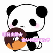 ヒメ日記 2025/11/27 00:46 投稿 秋月まな 厚木OL委員会