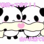 ヒメ日記 2025/12/09 09:33 投稿 秋月まな 厚木OL委員会