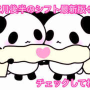 ヒメ日記 2025/12/18 18:43 投稿 秋月まな 厚木OL委員会