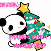 ヒメ日記 2025/12/24 23:53 投稿 秋月まな 厚木OL委員会