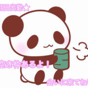 ヒメ日記 2026/02/12 15:33 投稿 秋月まな 厚木OL委員会