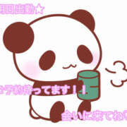 ヒメ日記 2026/02/20 18:53 投稿 秋月まな 厚木OL委員会