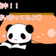 ヒメ日記 2026/03/29 20:53 投稿 秋月まな 厚木OL委員会