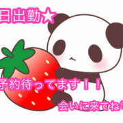 ヒメ日記 2026/04/16 16:53 投稿 秋月まな 厚木OL委員会