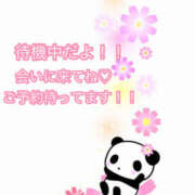 ヒメ日記 2026/09/12 18:53 投稿 秋月まな 厚木OL委員会