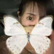 ヒメ日記 2024/12/13 23:43 投稿 斉木きょうか 厚木OL委員会