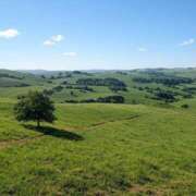 ヒメ日記 2025/06/16 10:35 投稿 小川ひとみ DEEPS成田店