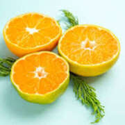 ヒメ日記 2025/06/24 19:15 投稿 小川ひとみ DEEPS成田店