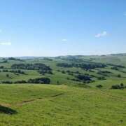 ヒメ日記 2025/07/13 10:58 投稿 小川ひとみ DEEPS成田店