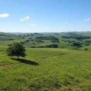 ヒメ日記 2025/08/24 20:06 投稿 小川ひとみ DEEPS成田店