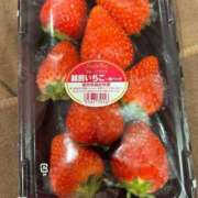 ヒメ日記 2025/03/25 17:24 投稿 のの チューリップ福井別館