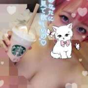 ヒメ日記 2025/03/01 12:09 投稿 ひい ウルトラドリーム