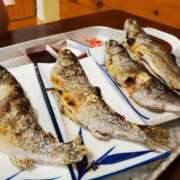 ヒメ日記 2025/09/04 12:16 投稿 ひい ウルトラドリーム