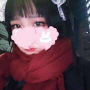 ヒメ日記 2026/02/23 11:23 投稿 ひい ウルトラドリーム