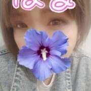 ヒメ日記 2025/03/27 14:01 投稿 いちか 藤沢人妻城