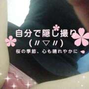 ヒメ日記 2025/03/28 00:32 投稿 いちか 藤沢人妻城