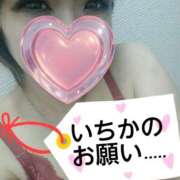 ヒメ日記 2025/04/03 18:49 投稿 いちか 藤沢人妻城