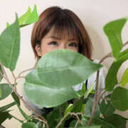 ヒメ日記 2025/04/09 15:20 投稿 いちか 藤沢人妻城