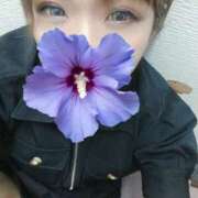 ヒメ日記 2025/08/01 23:27 投稿 いちか 藤沢人妻城