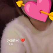 ヒメ日記 2026/01/21 09:56 投稿 いちか 藤沢人妻城